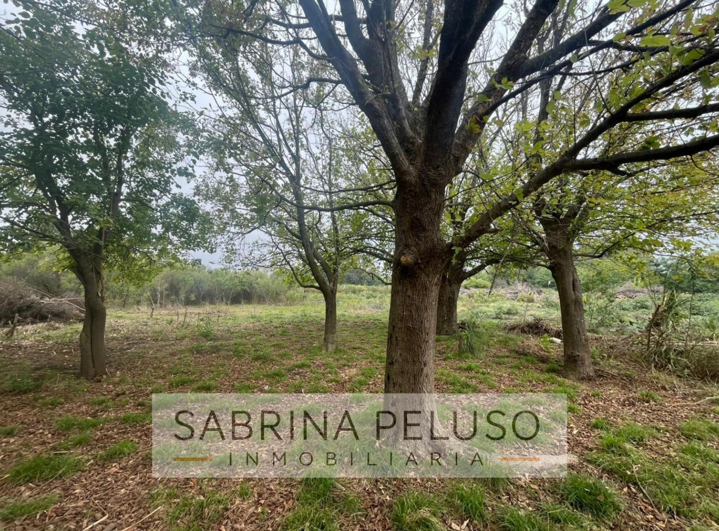 Foto de terreno venta moreno, imagen 1