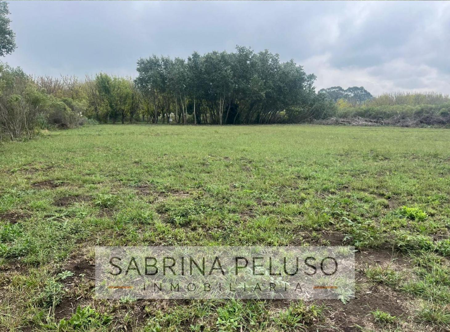 Foto de terreno venta moreno, imagen 5