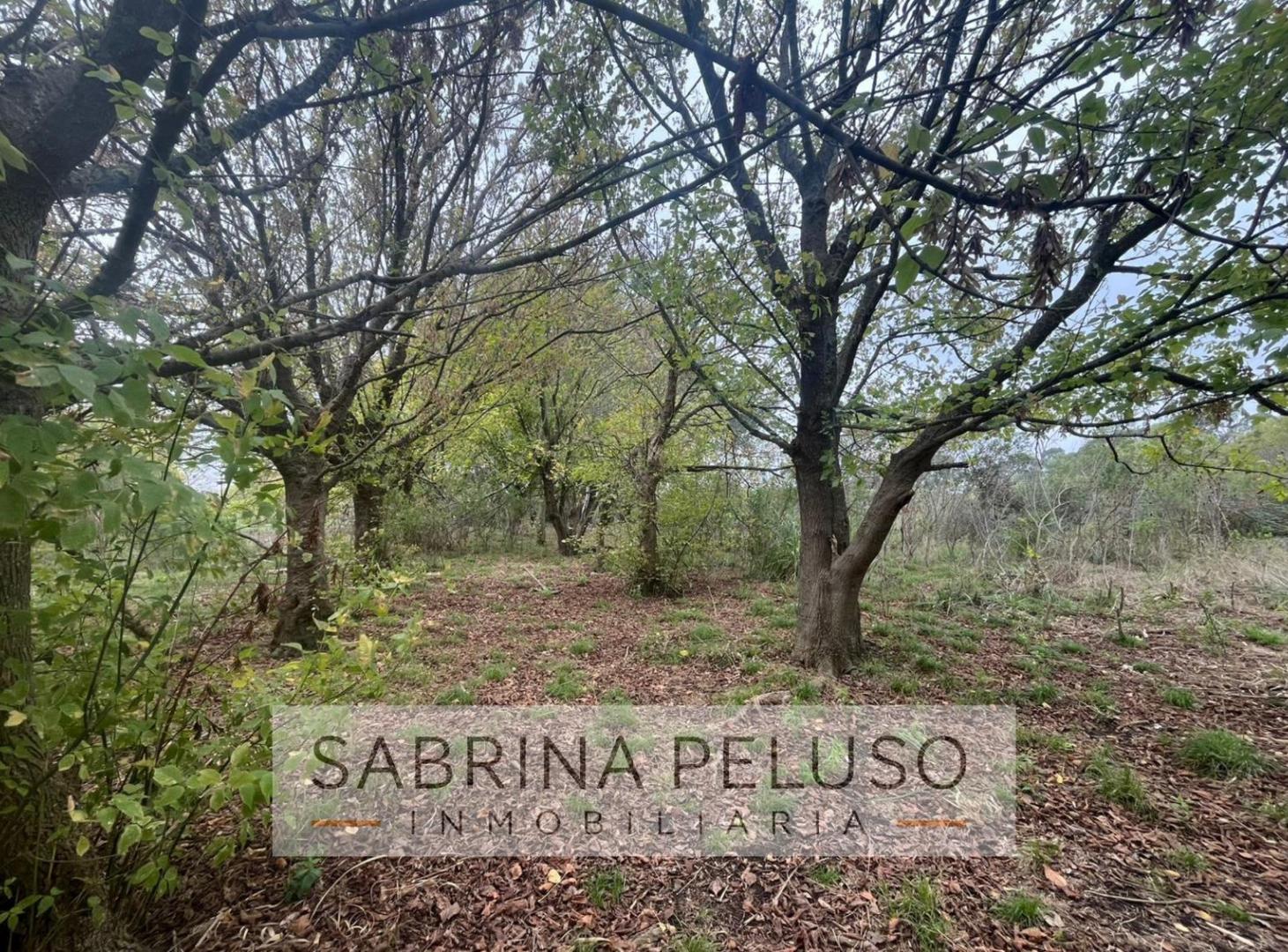Foto de terreno venta moreno, imagen 2