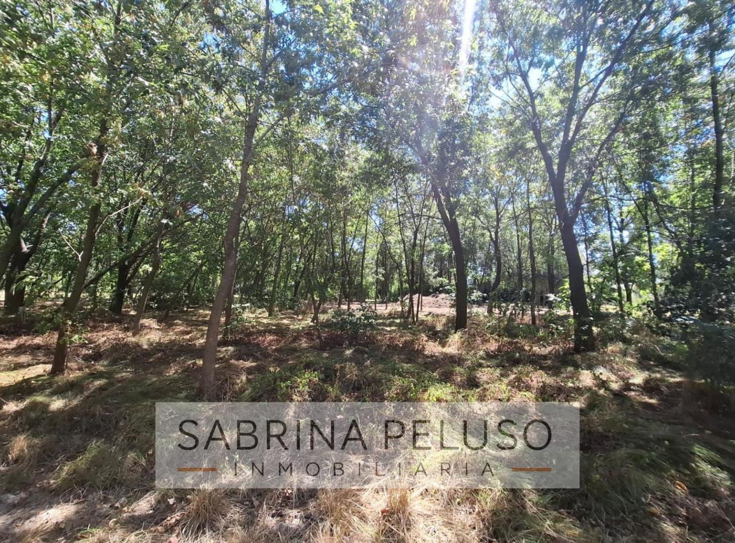 Foto de Terreno en La Reja, imagen 1