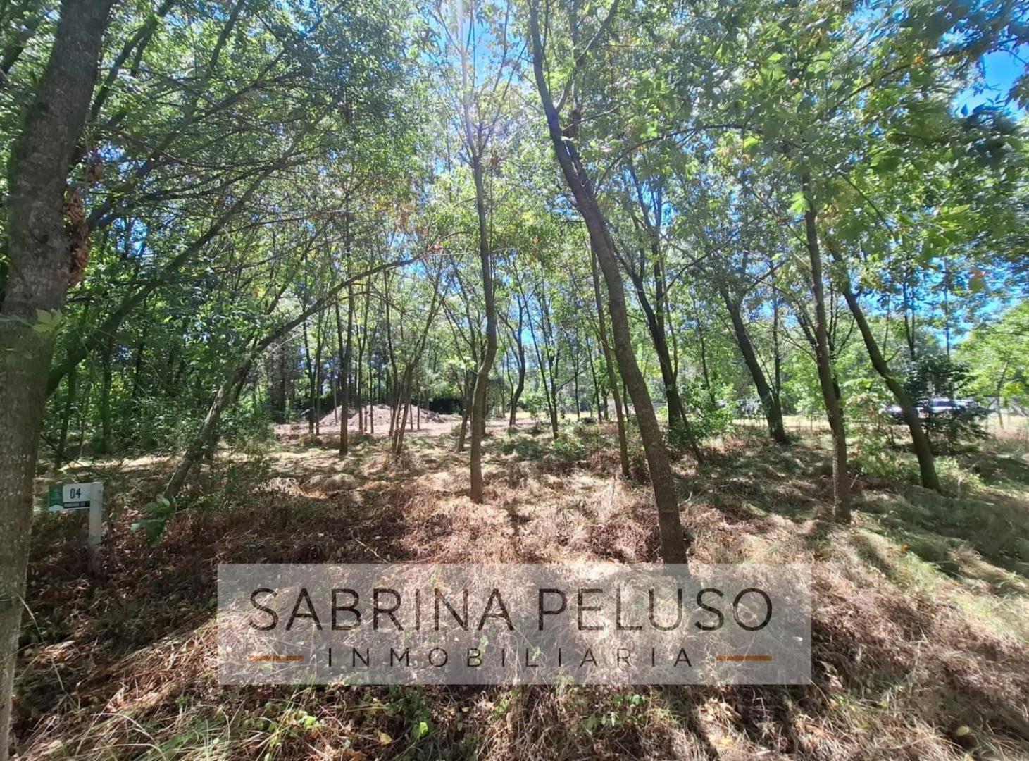 Foto de Terreno en La Reja, imagen 5
