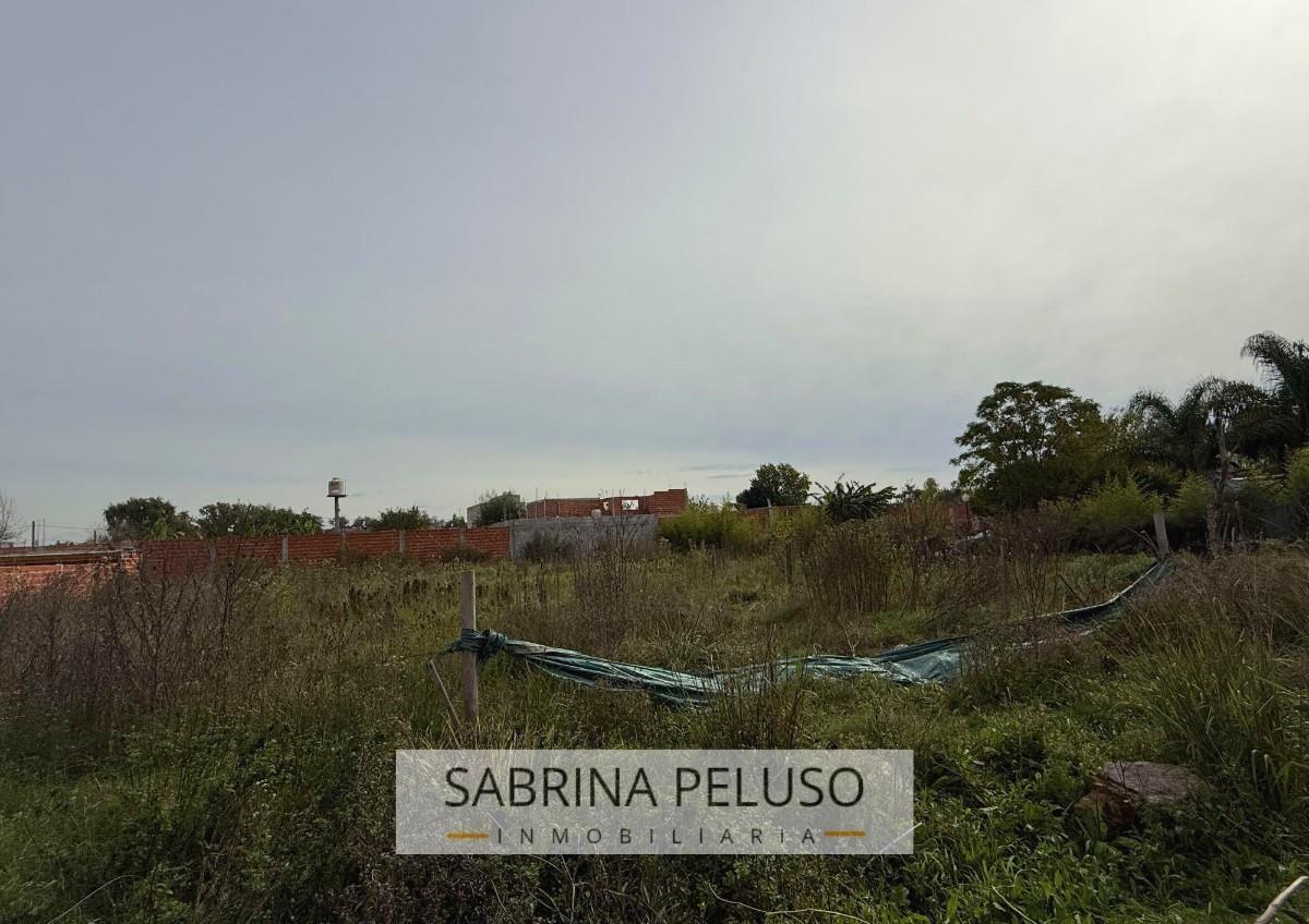 Foto de Terreno en venta en General Rodriguez, imagen 2