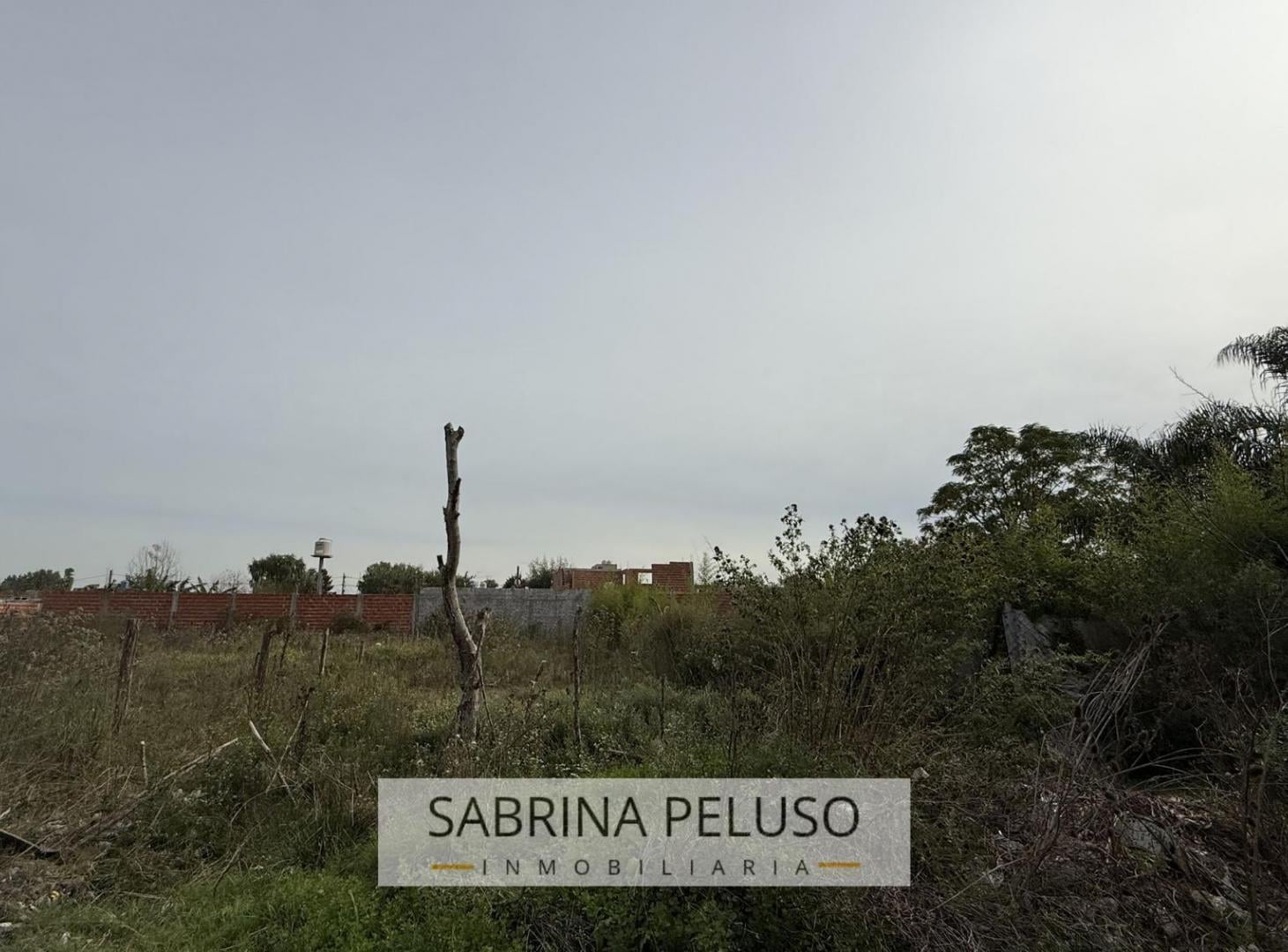 Foto de Terreno en venta en General Rodriguez, imagen 5