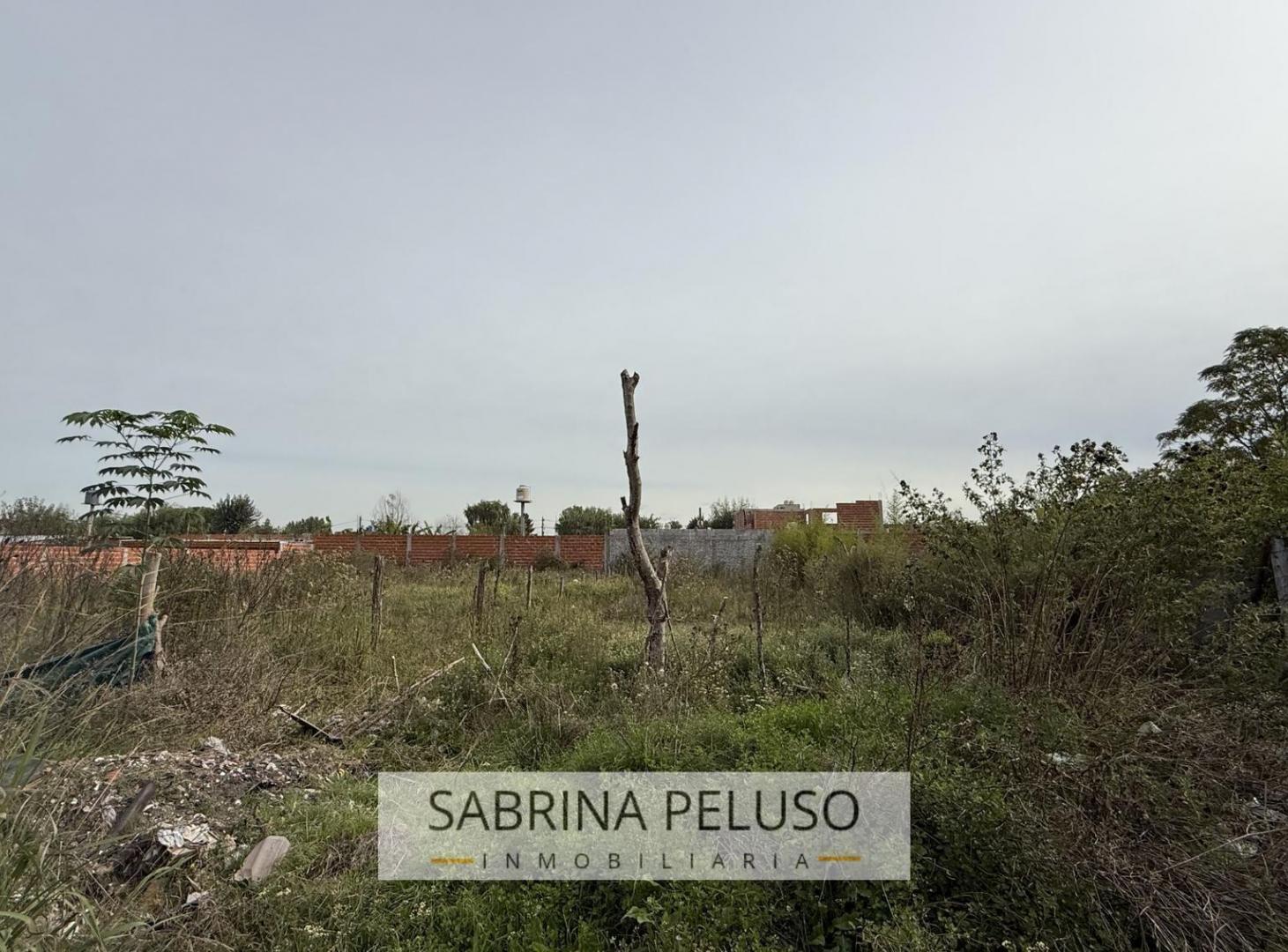 Foto de Terreno en venta en General Rodriguez, imagen 3