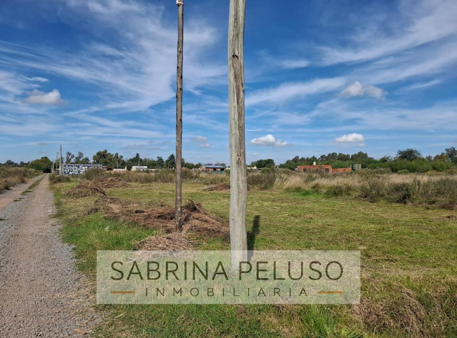 Foto de Terreno en Villa Rosa, imagen 4