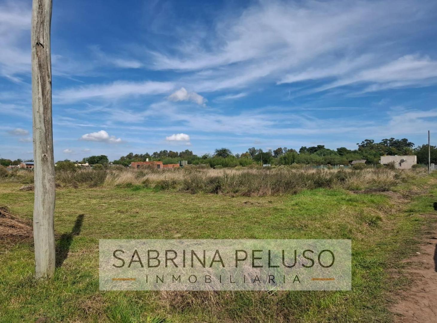 Foto de Terreno en Villa Rosa, imagen 3