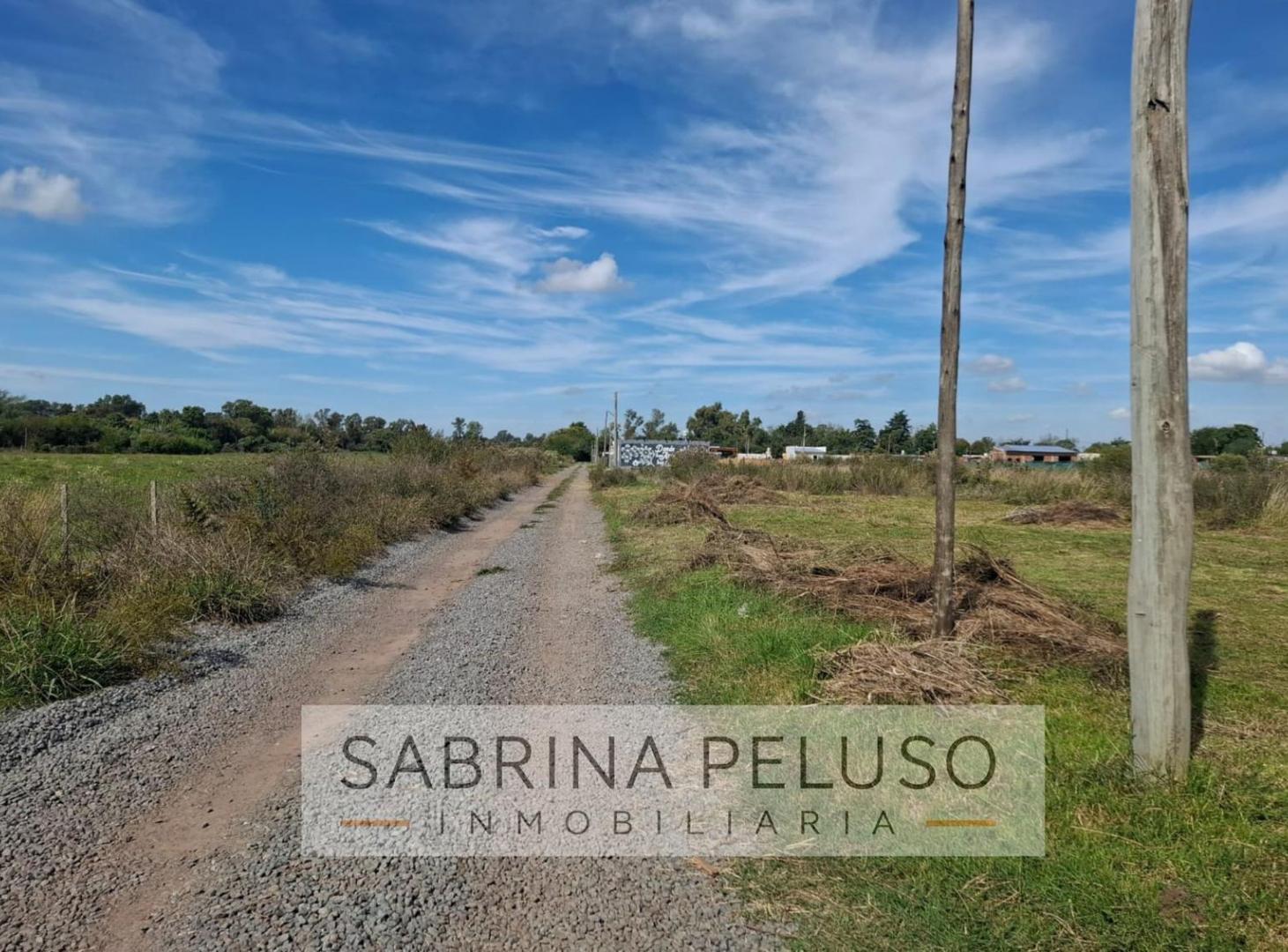 Foto de Terreno en Villa Rosa, imagen 5