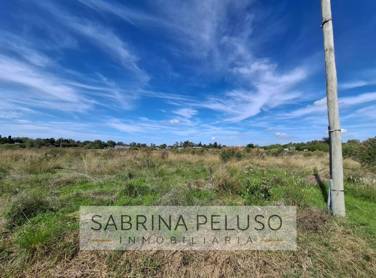 Foto de Terreno en Villa Rosa, imagen 1