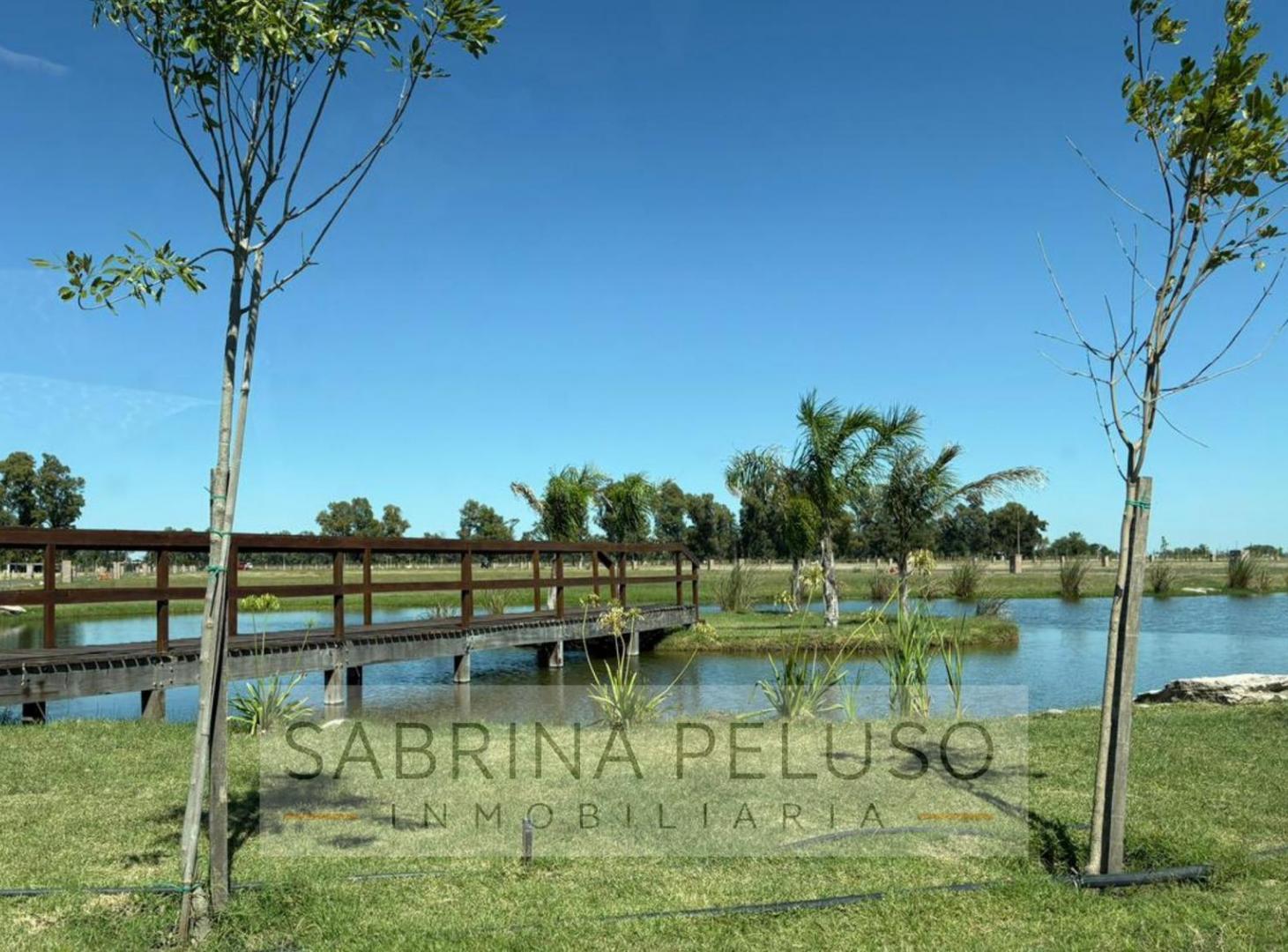 Foto de Lote en VENTA en Haras Andrea Virginia - Plomer, imagen 4