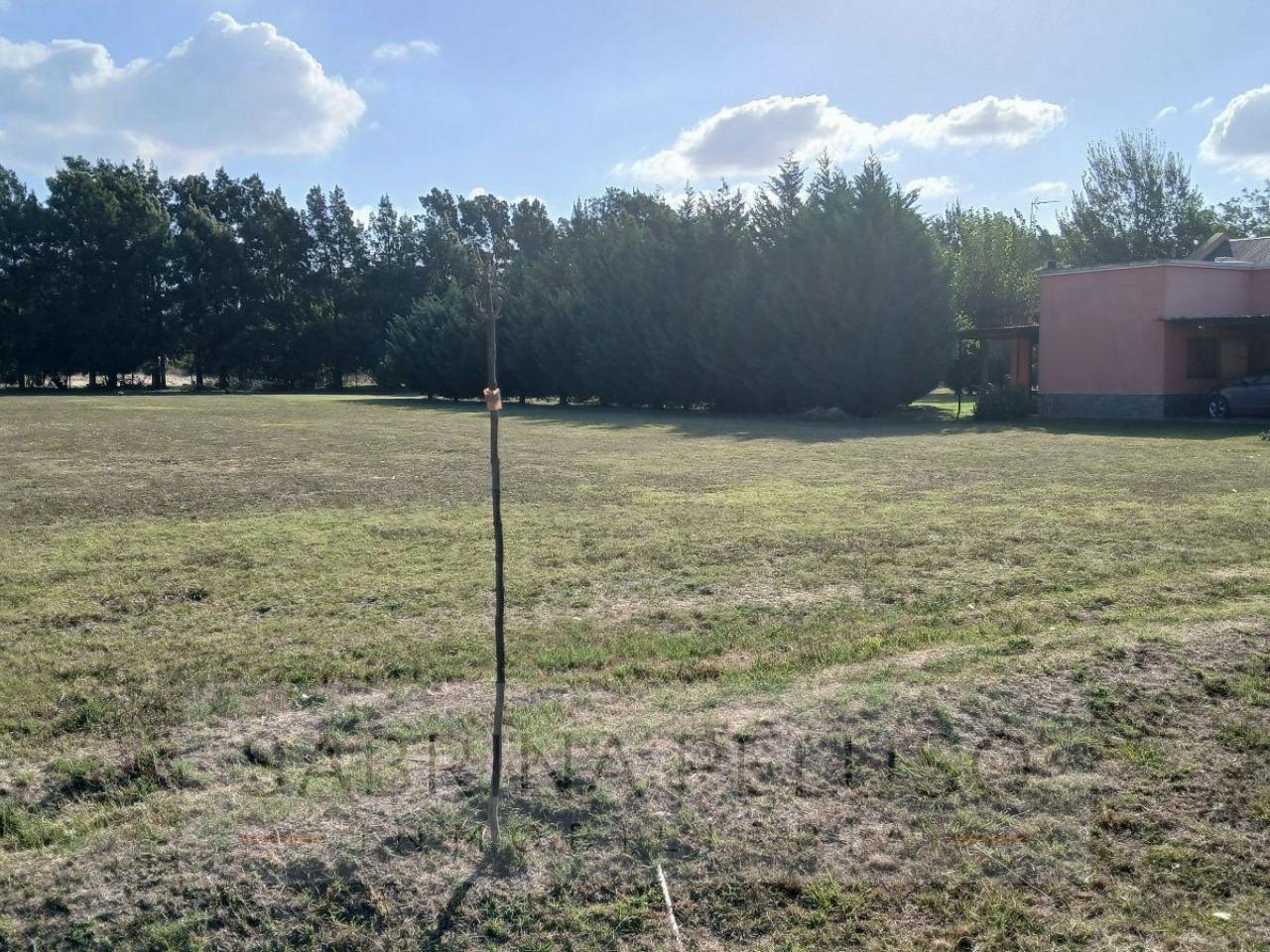 Foto de Terreno en Lujan, imagen 1