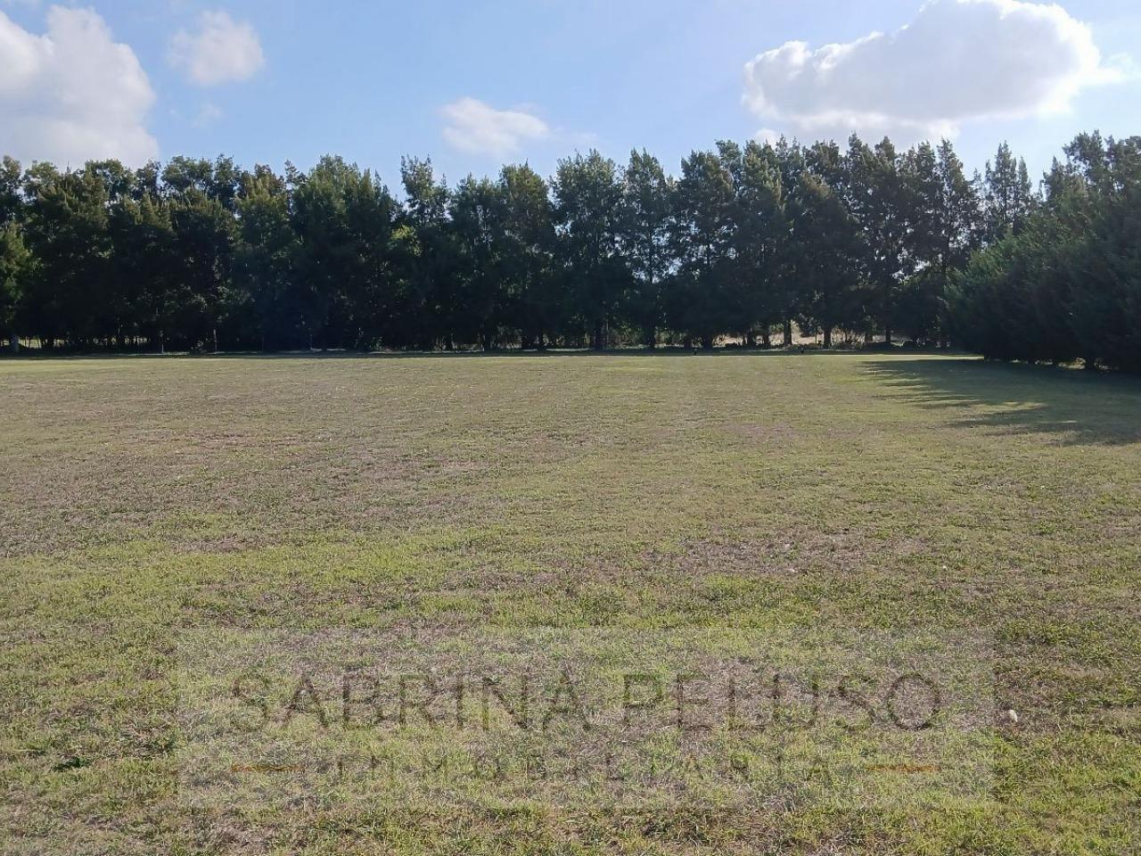 Foto de Terreno en Lujan, imagen 5
