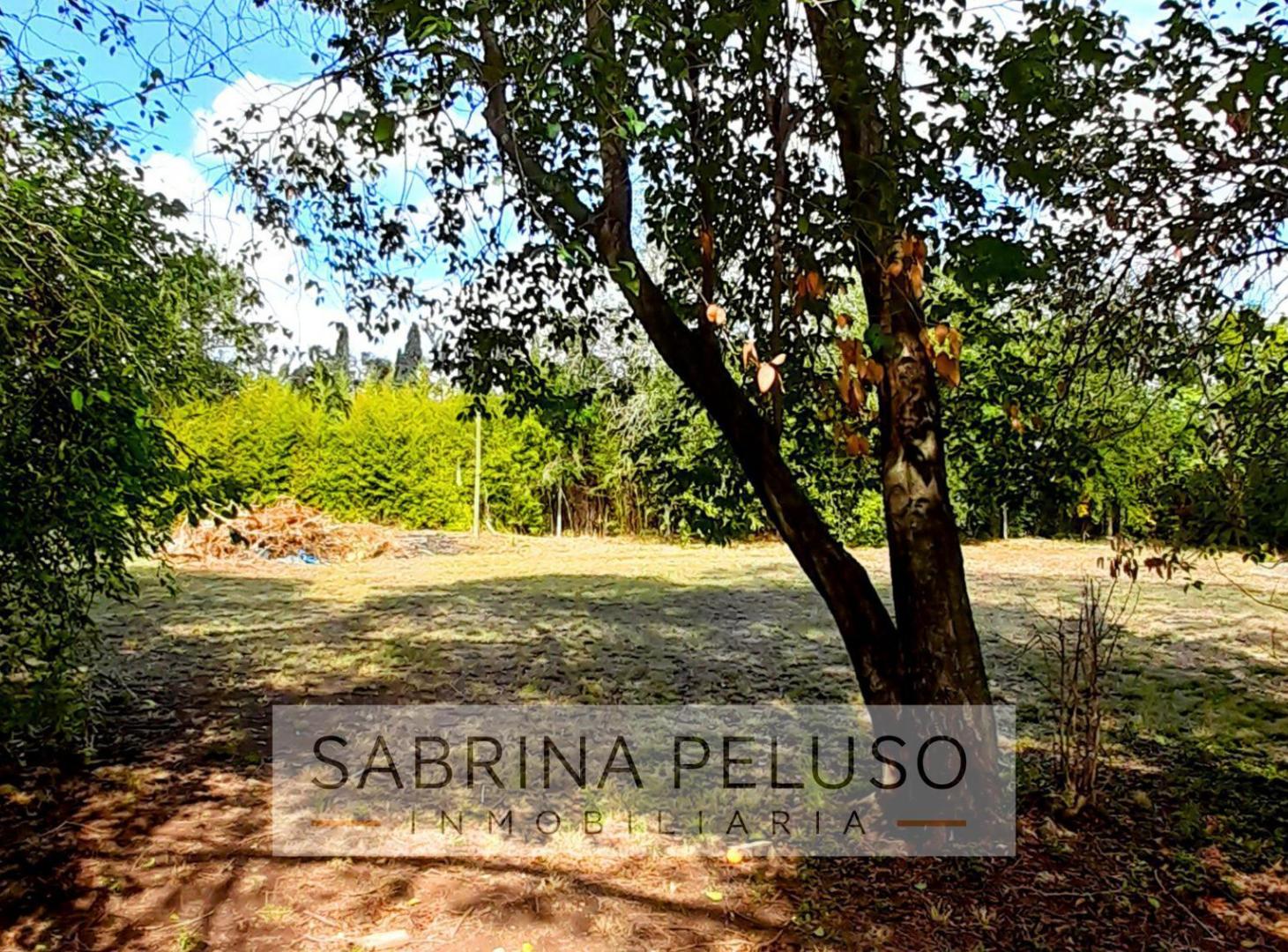 Foto de Venta Terreno Barrio cerrado Paso del Rey, imagen 2