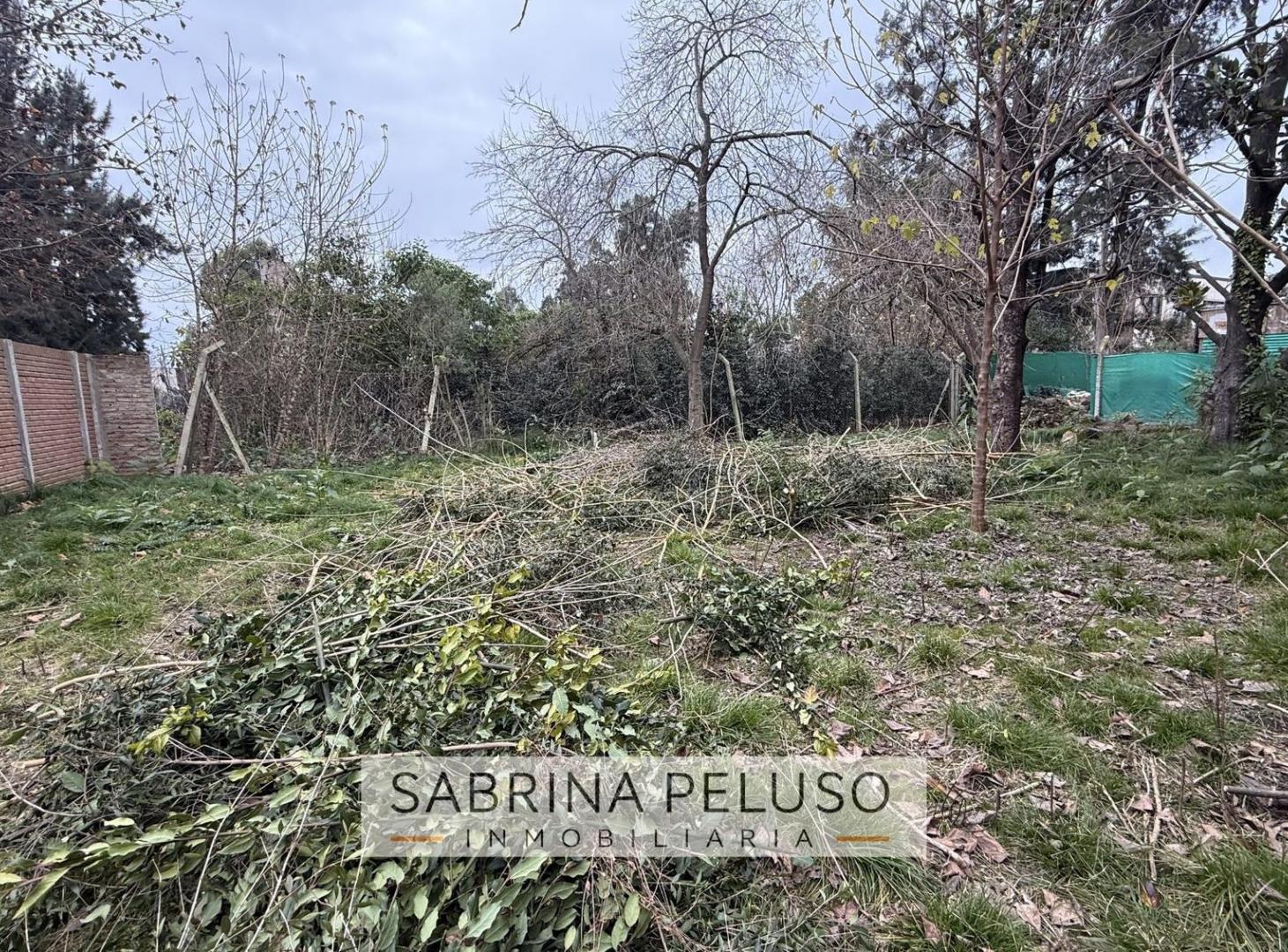 Foto de Terreno en La Reja, imagen 2