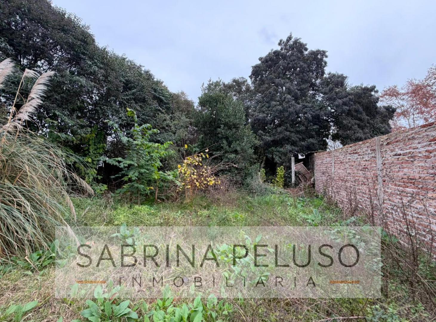 Foto de Terreno en Merlo, imagen 3