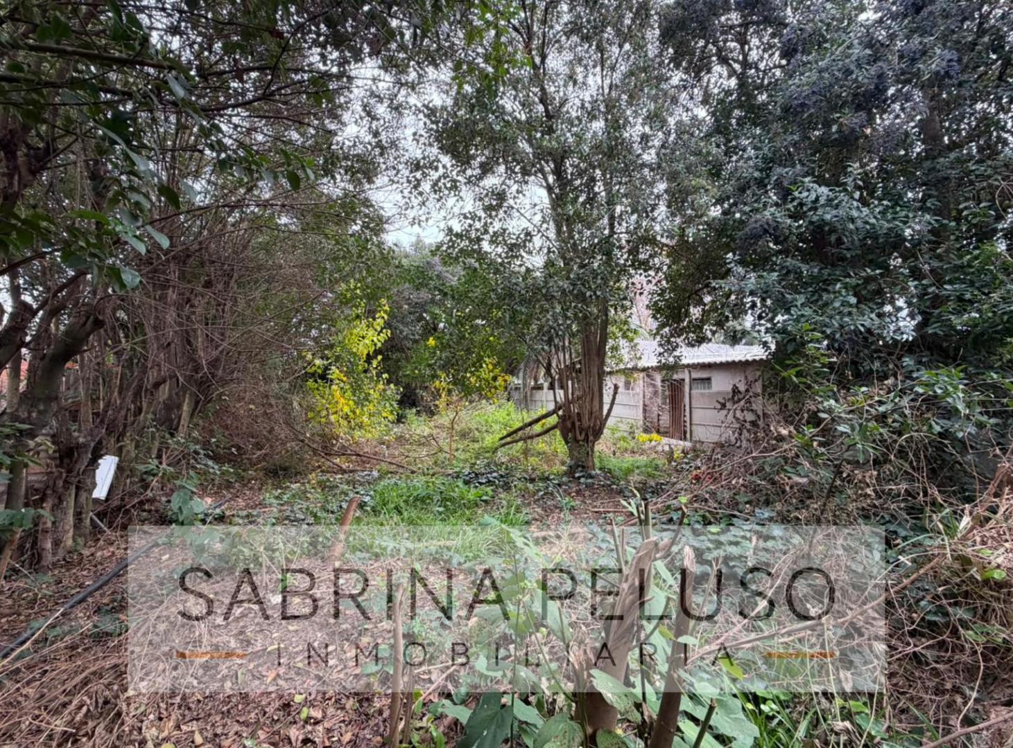 Foto de Terreno en Merlo, imagen 2