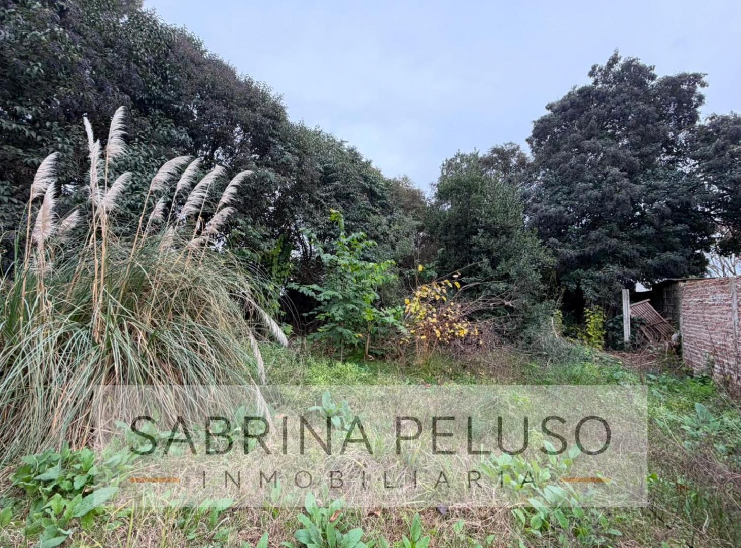 Foto de Terreno en Merlo, imagen 4