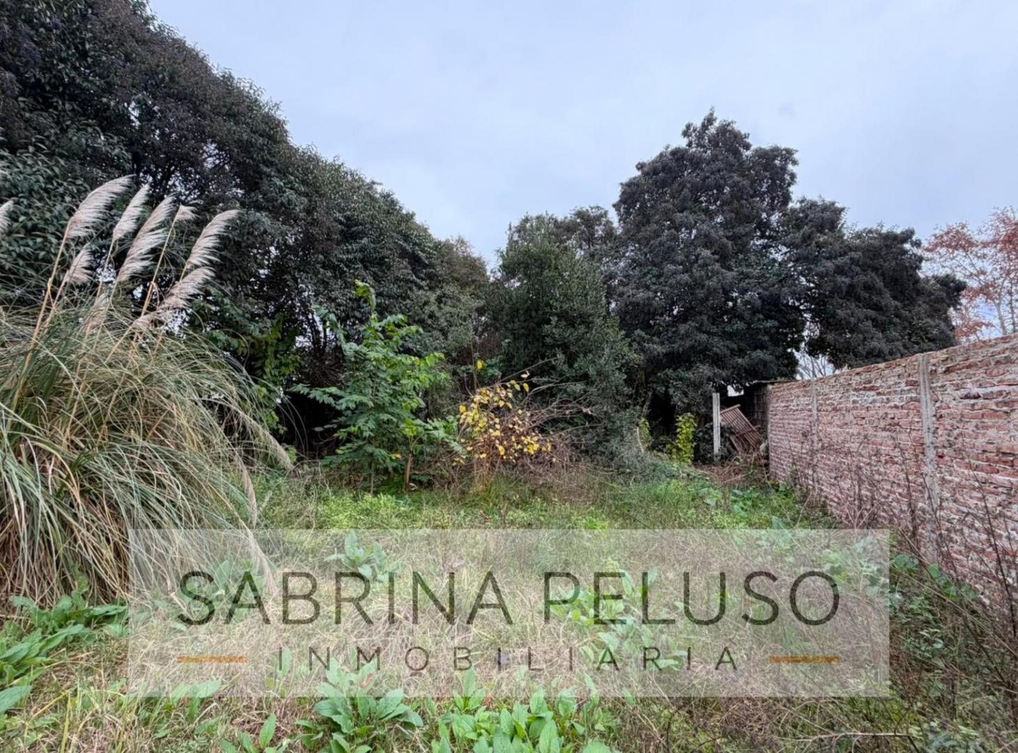 Foto de Terreno en Merlo, imagen 1