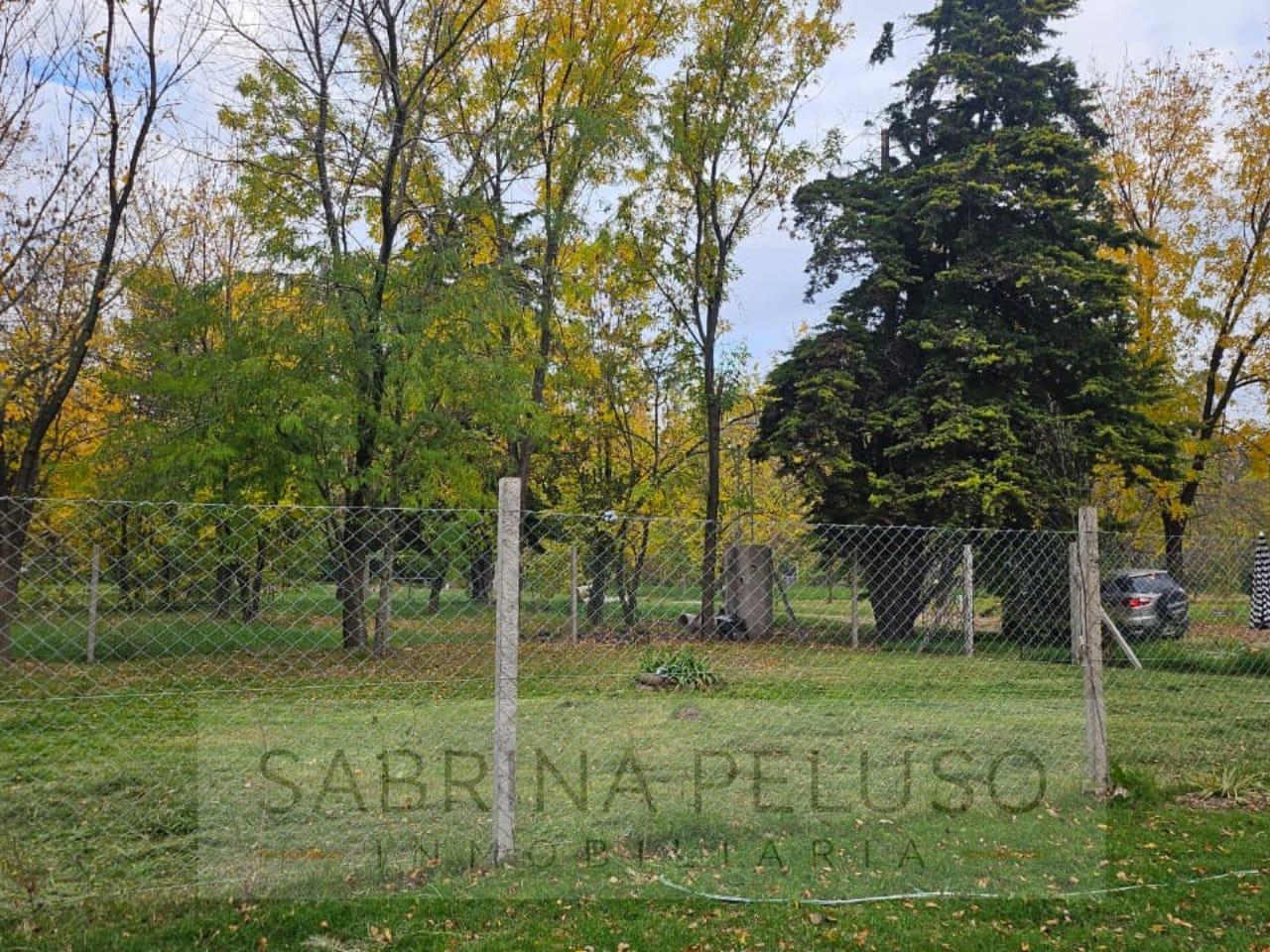 Foto de Terreno en La Reja, imagen 5