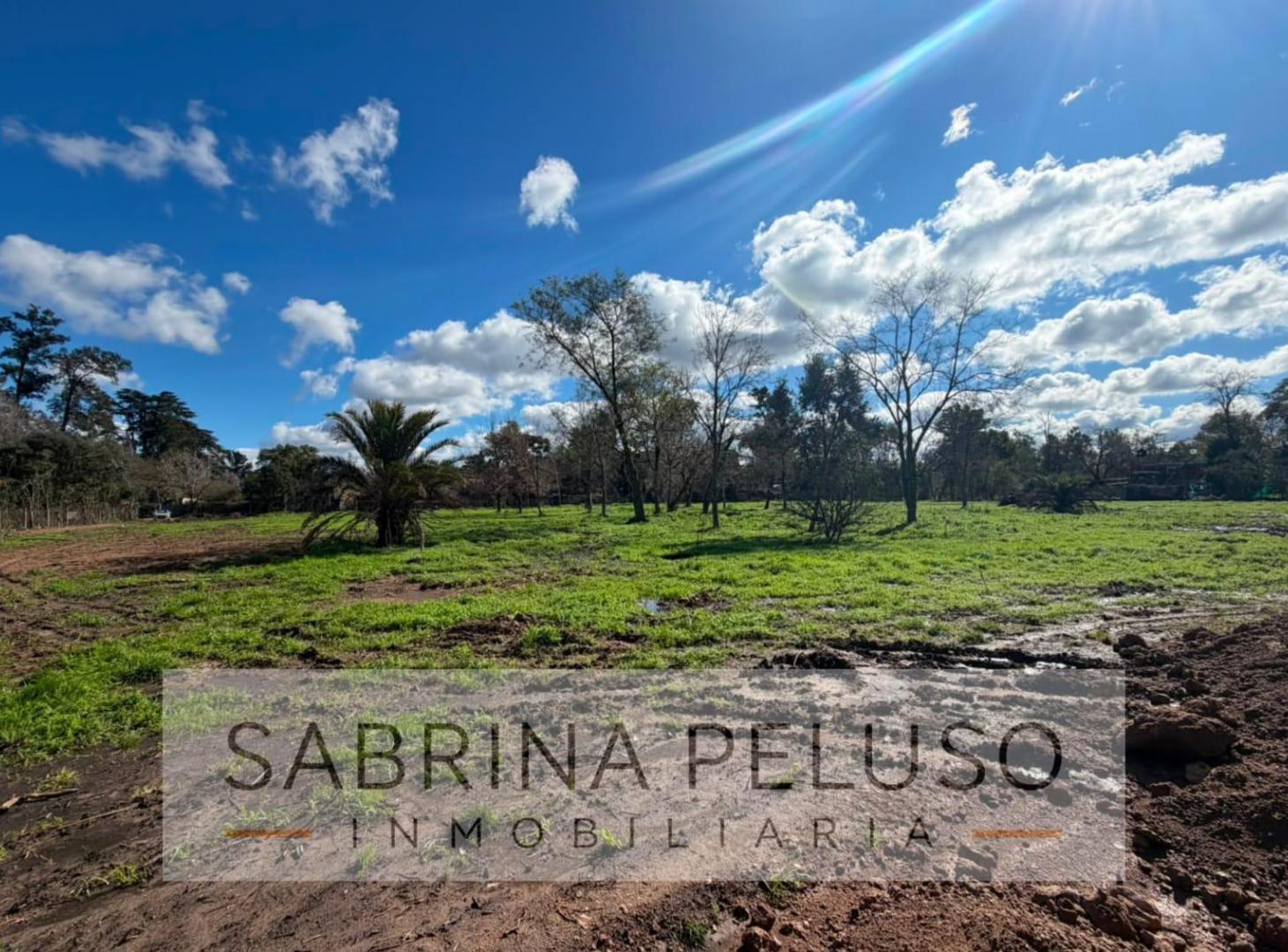 Foto de Terreno en La Reja, imagen 5