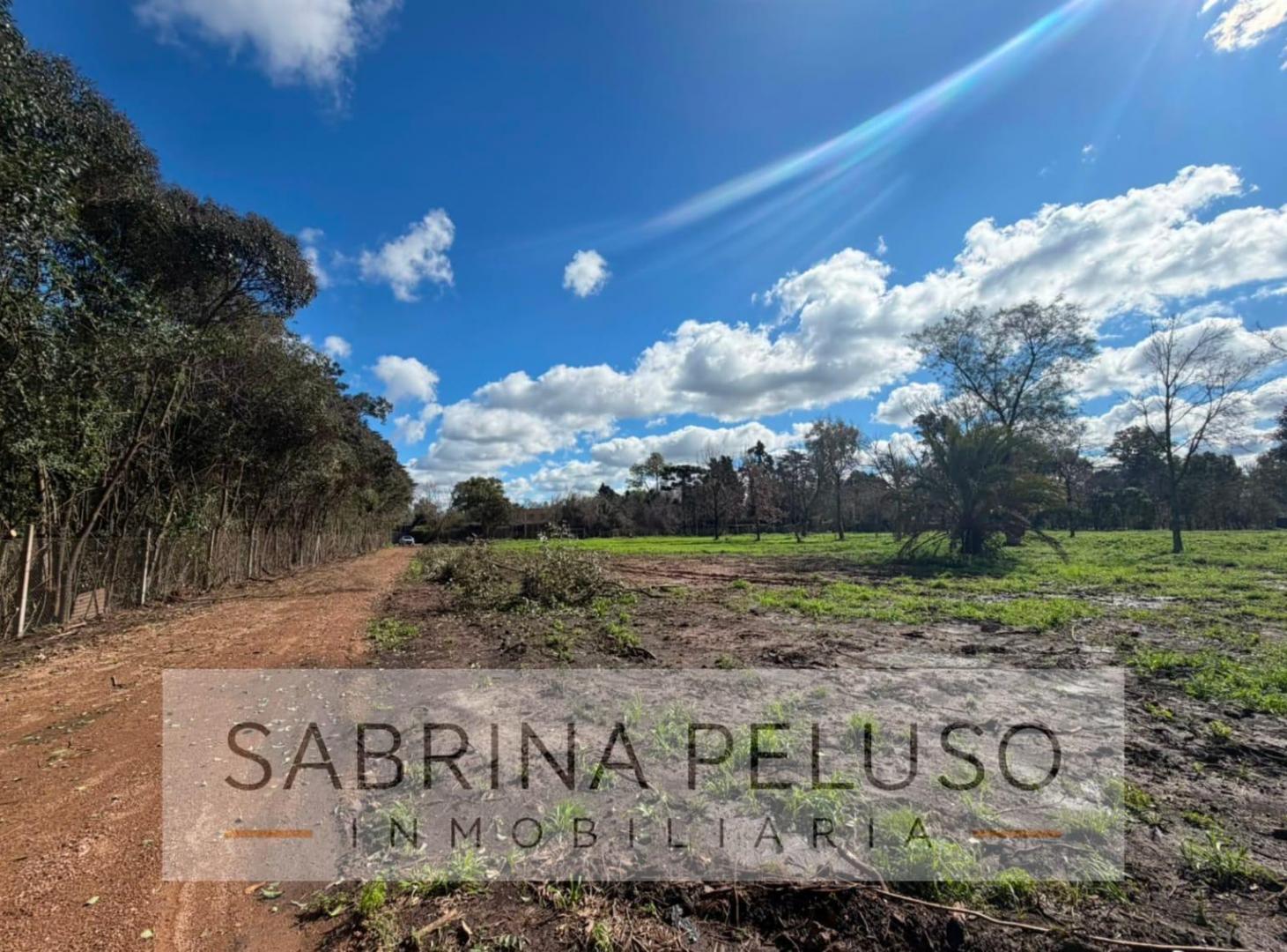 Foto de Terreno en La Reja, imagen 4