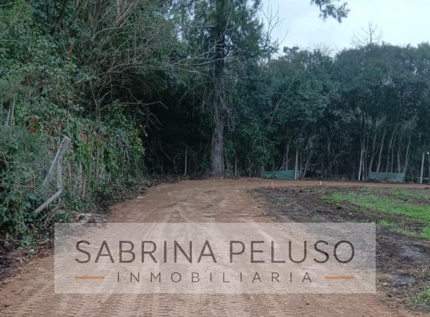 Foto de Terreno en La Reja, imagen 5