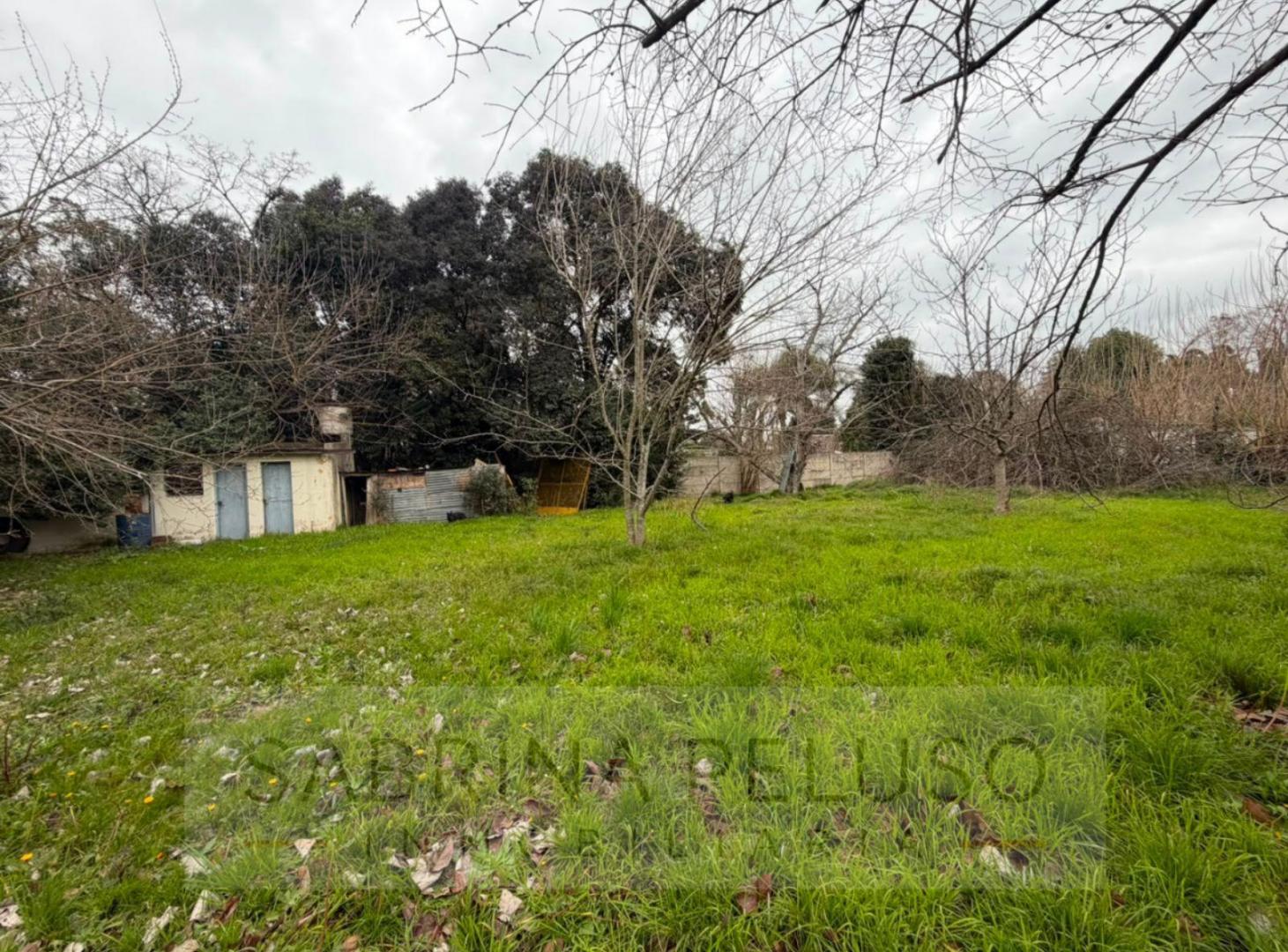 Foto de Terreno - General Rodriguez, imagen 3