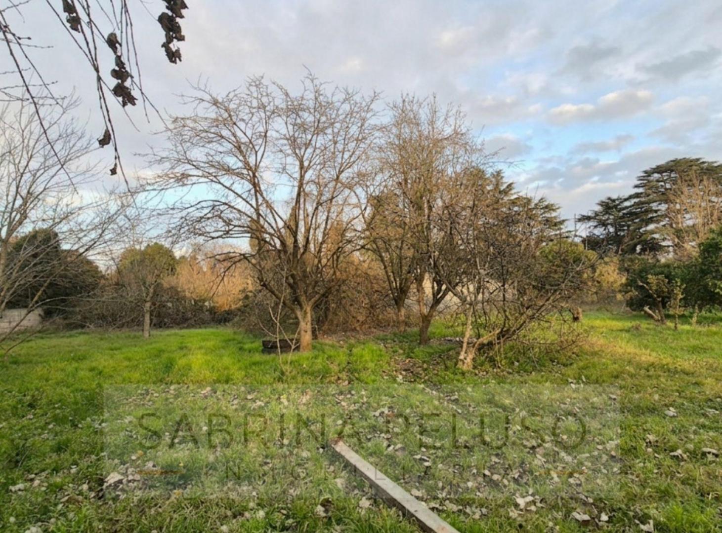 Foto de Terreno - General Rodriguez, imagen 4