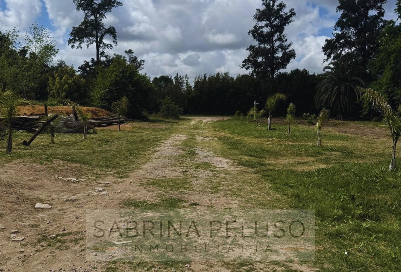Foto de Terreno en La Reja, imagen 5