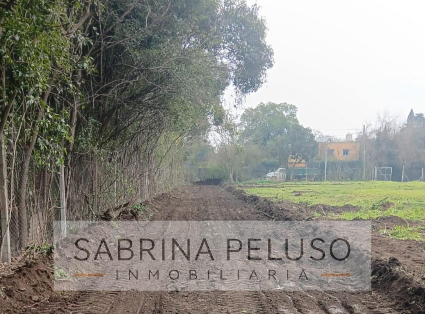 Foto de Terreno en La Reja, imagen 3