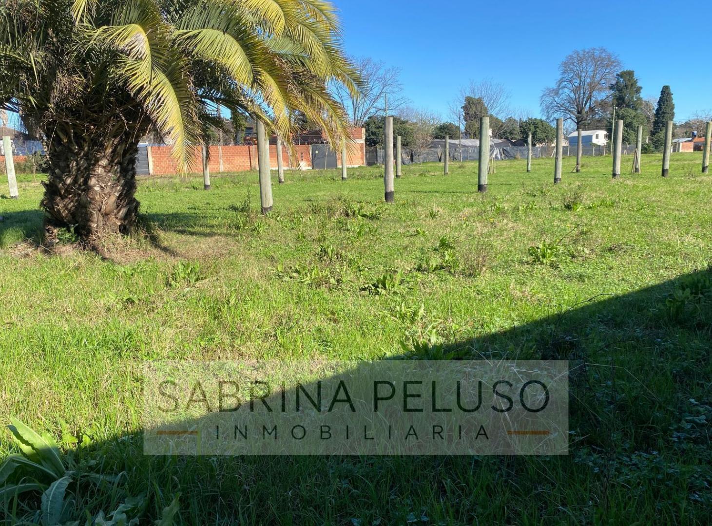 Foto de Lote 342m2 En Trujui Moreno Asfalto Financiado, imagen 2