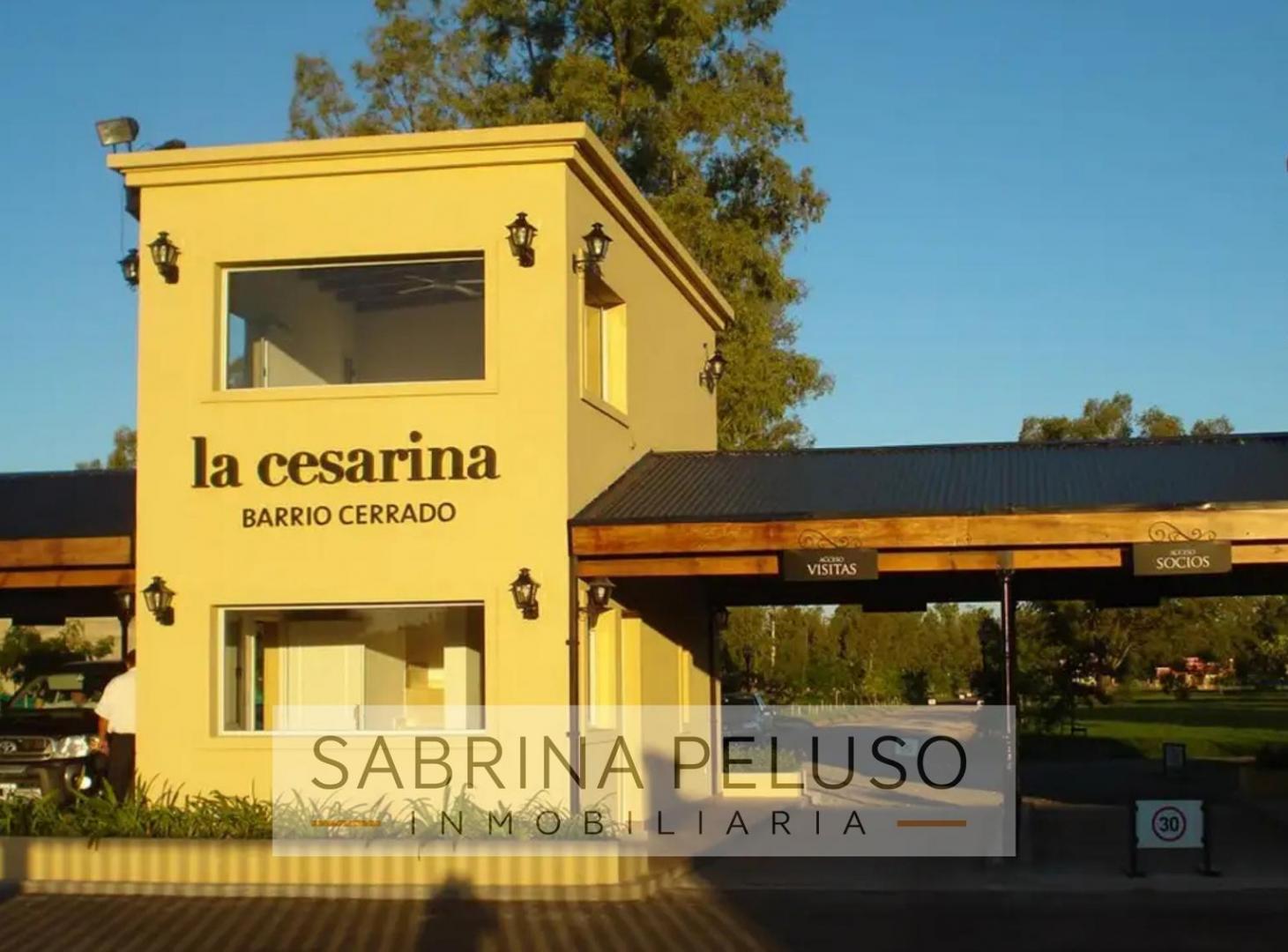 Foto de Terreno en La Cesarina, imagen 4