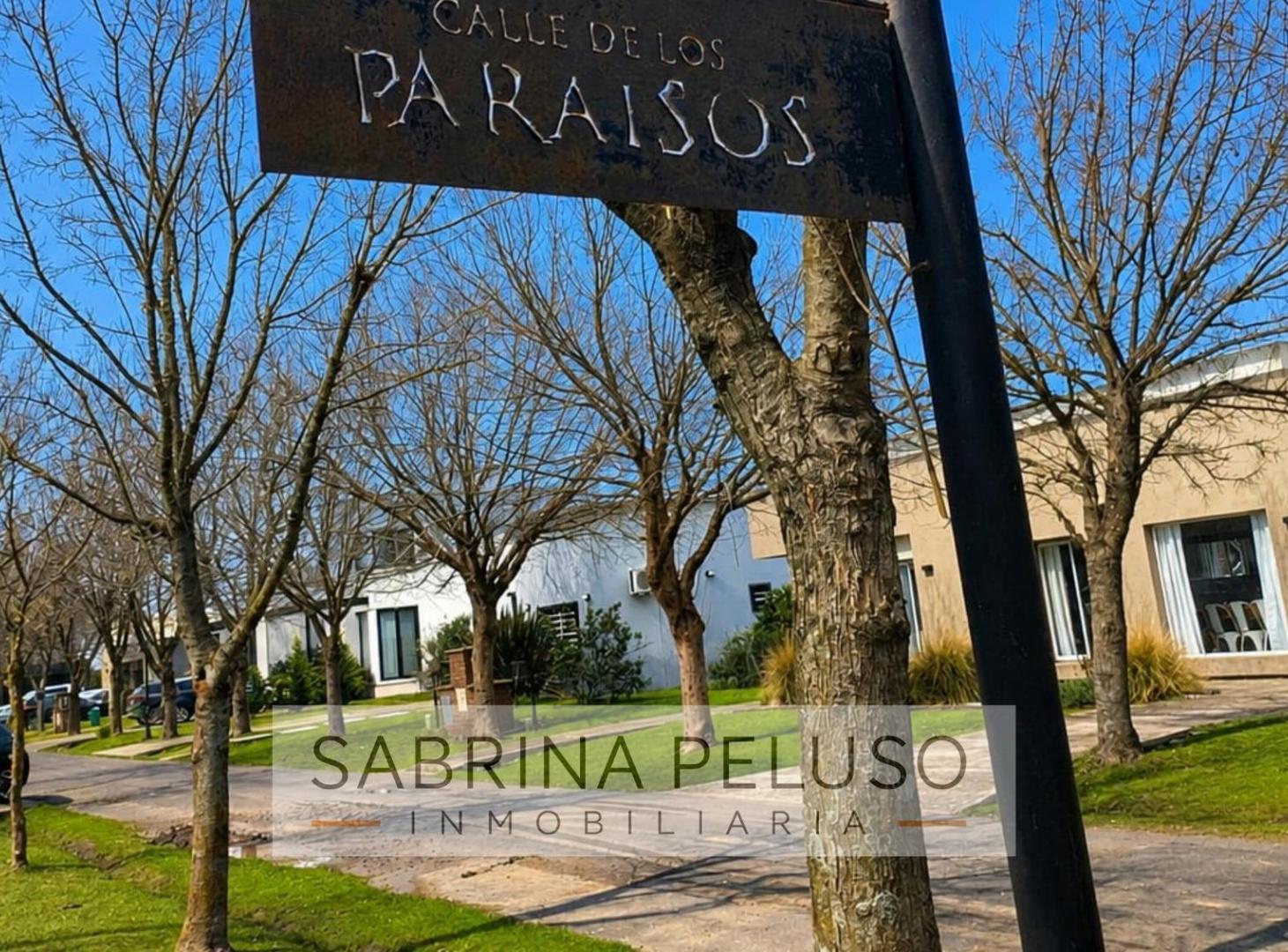Foto de Terreno en La Cesarina, imagen 5