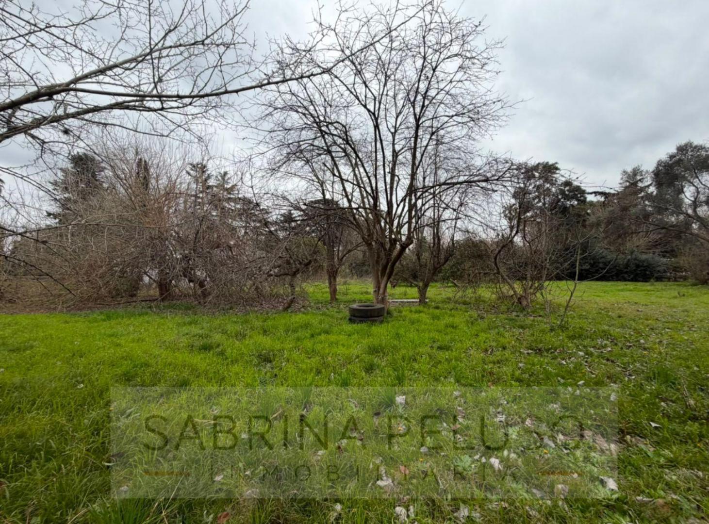 Foto de Terreno en venta en General Rodriguez, imagen 3