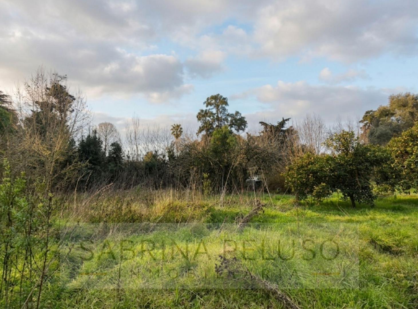 Foto de Terreno en venta en General Rodriguez, imagen 4