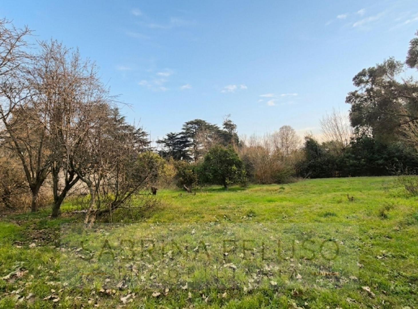 Foto de Terreno en venta en General Rodriguez, imagen 5