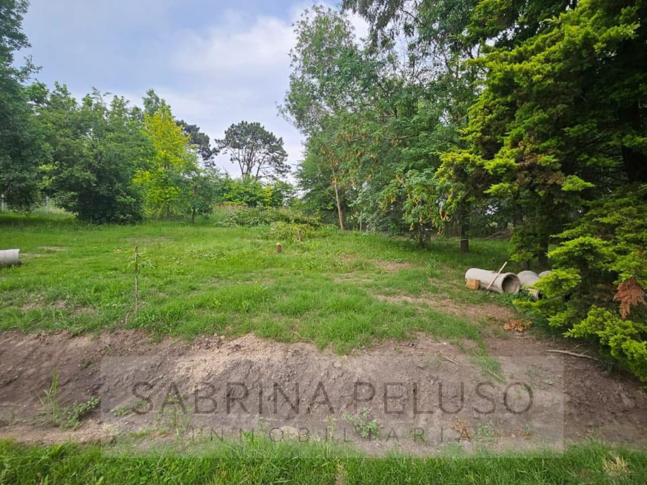Foto de Terreno en La Reja, imagen 1