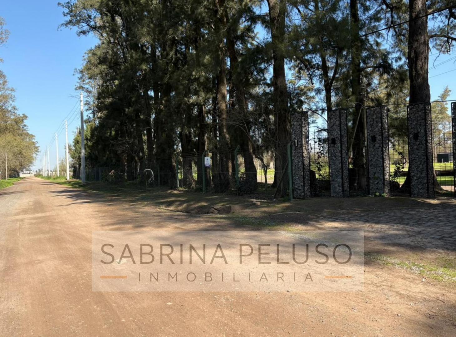 Foto de Casa 2 ambientes en VENTA - Condominio El Añejo, imagen 4