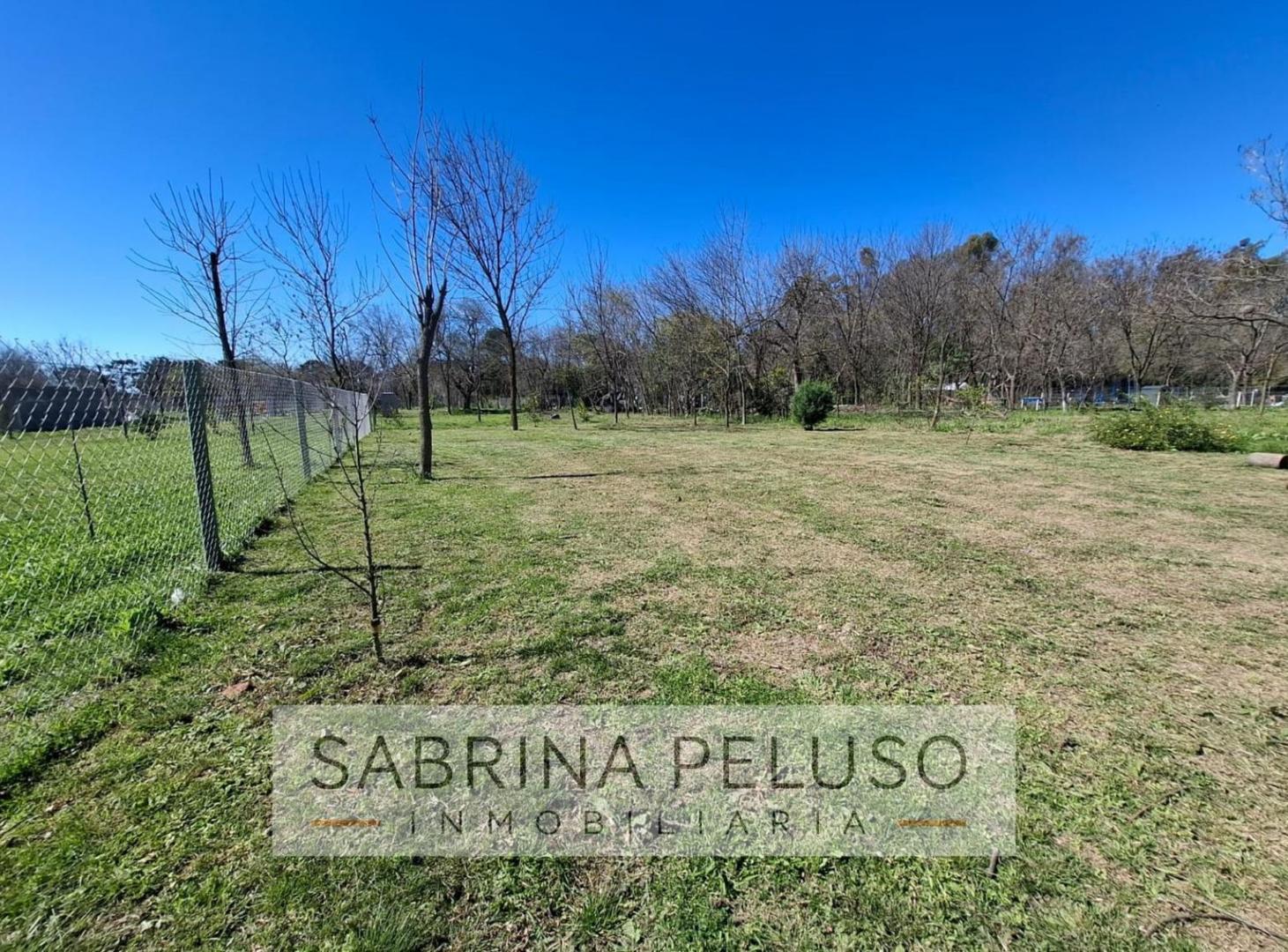 Foto de Terreno en La Reja, imagen 4