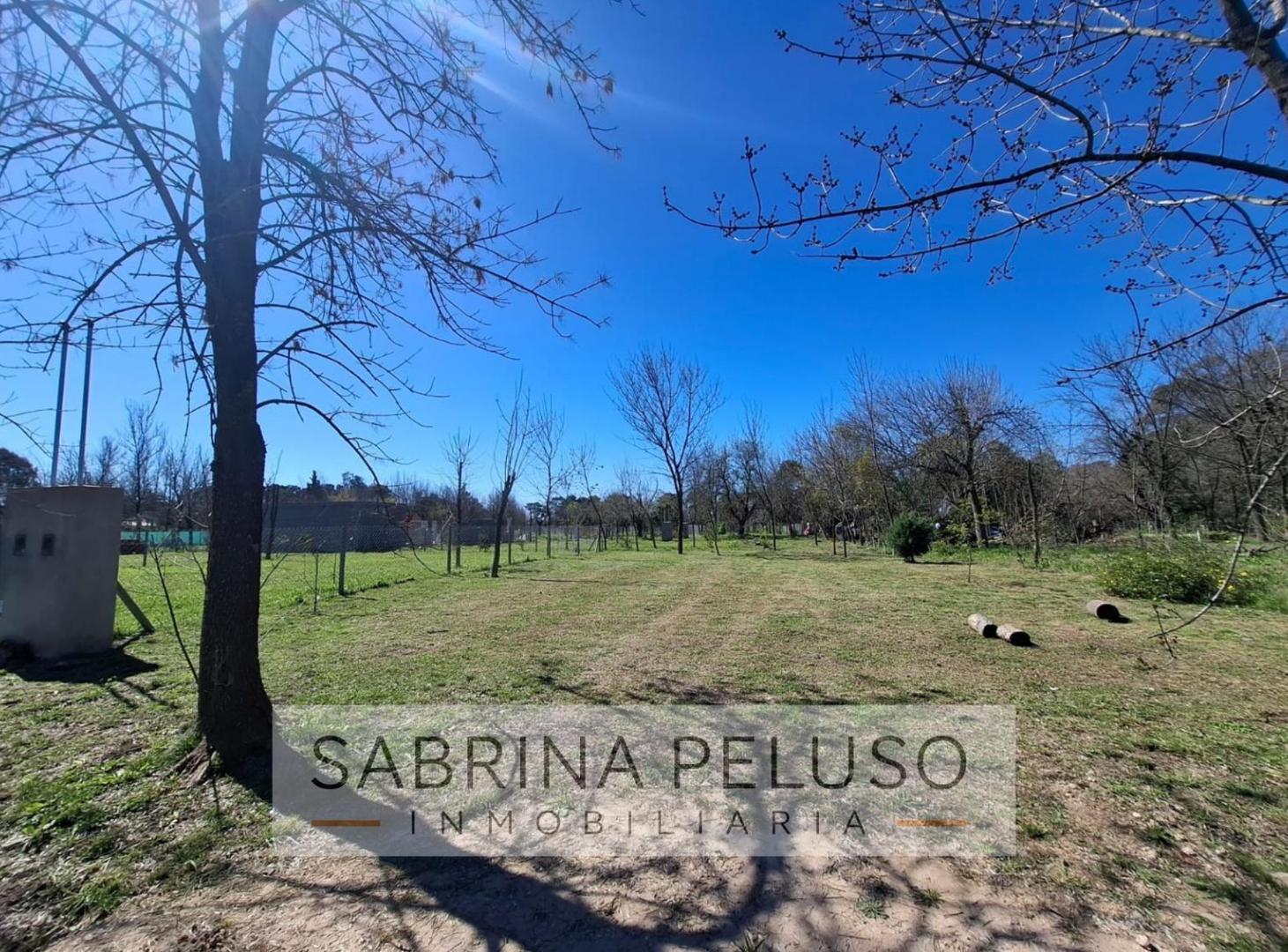 Foto de Terreno en La Reja, imagen 3
