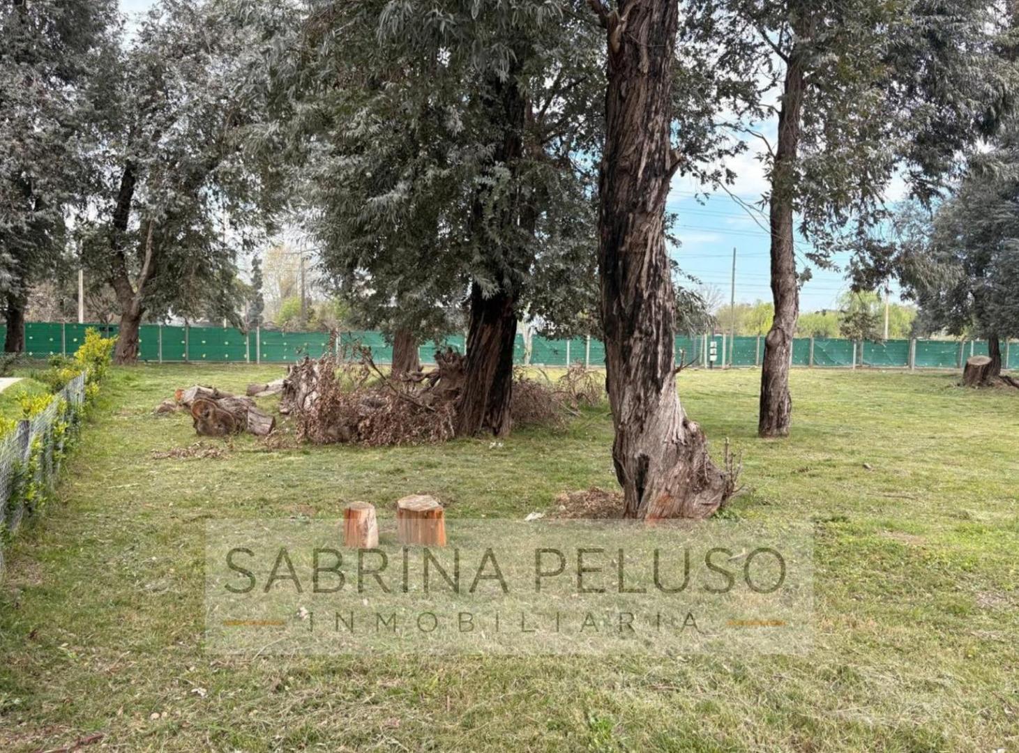 Foto de Terreno en Alvarez del Bosque, imagen 5