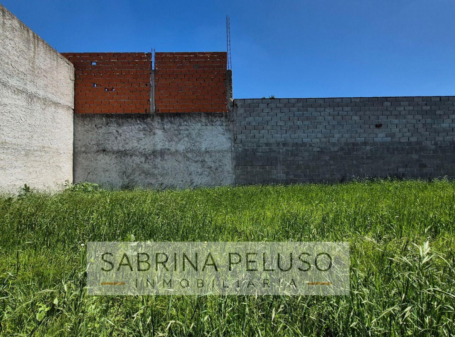 Foto de Terreno en venta, imagen 5