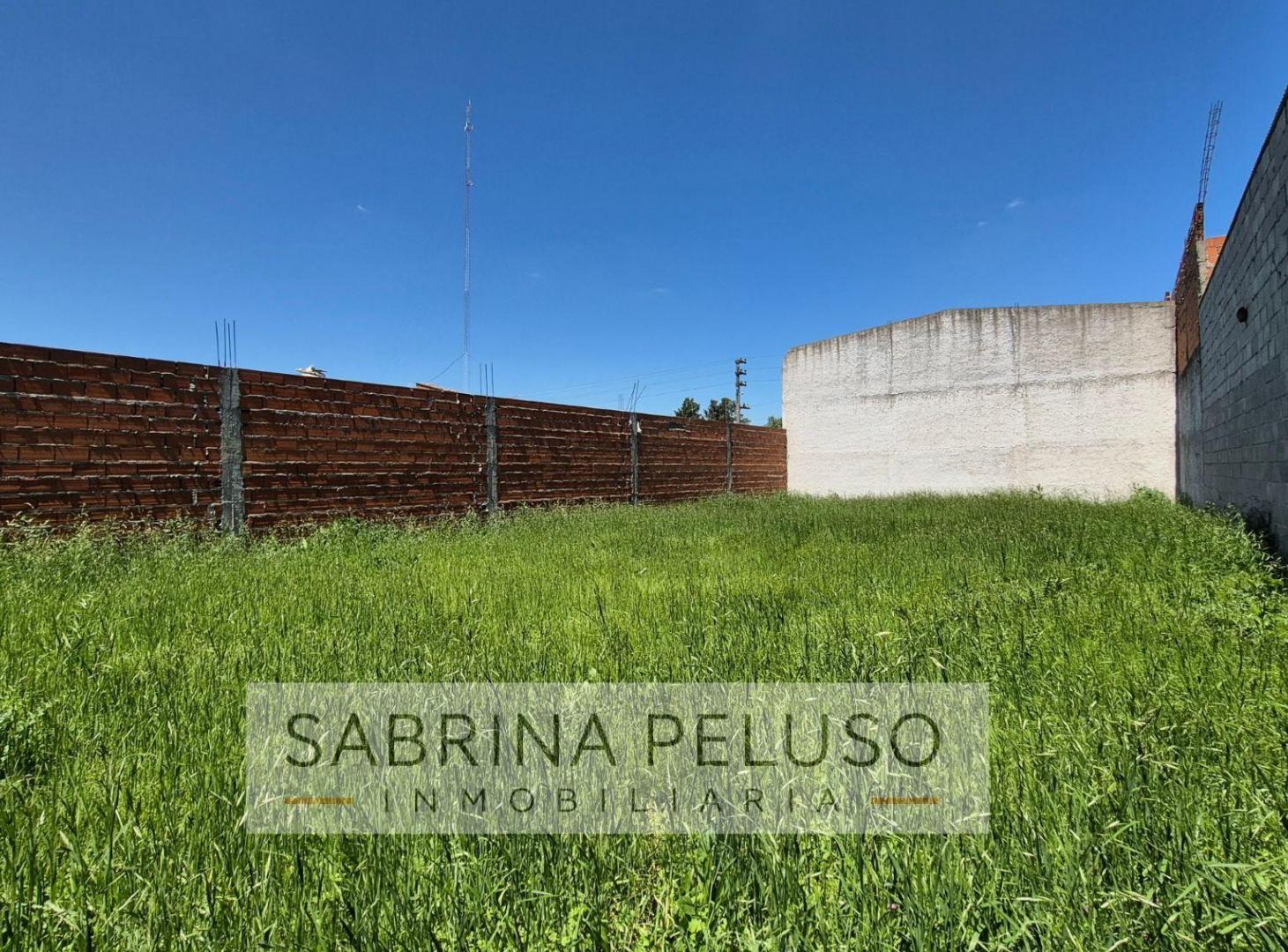 Foto de Terreno en venta, imagen 2