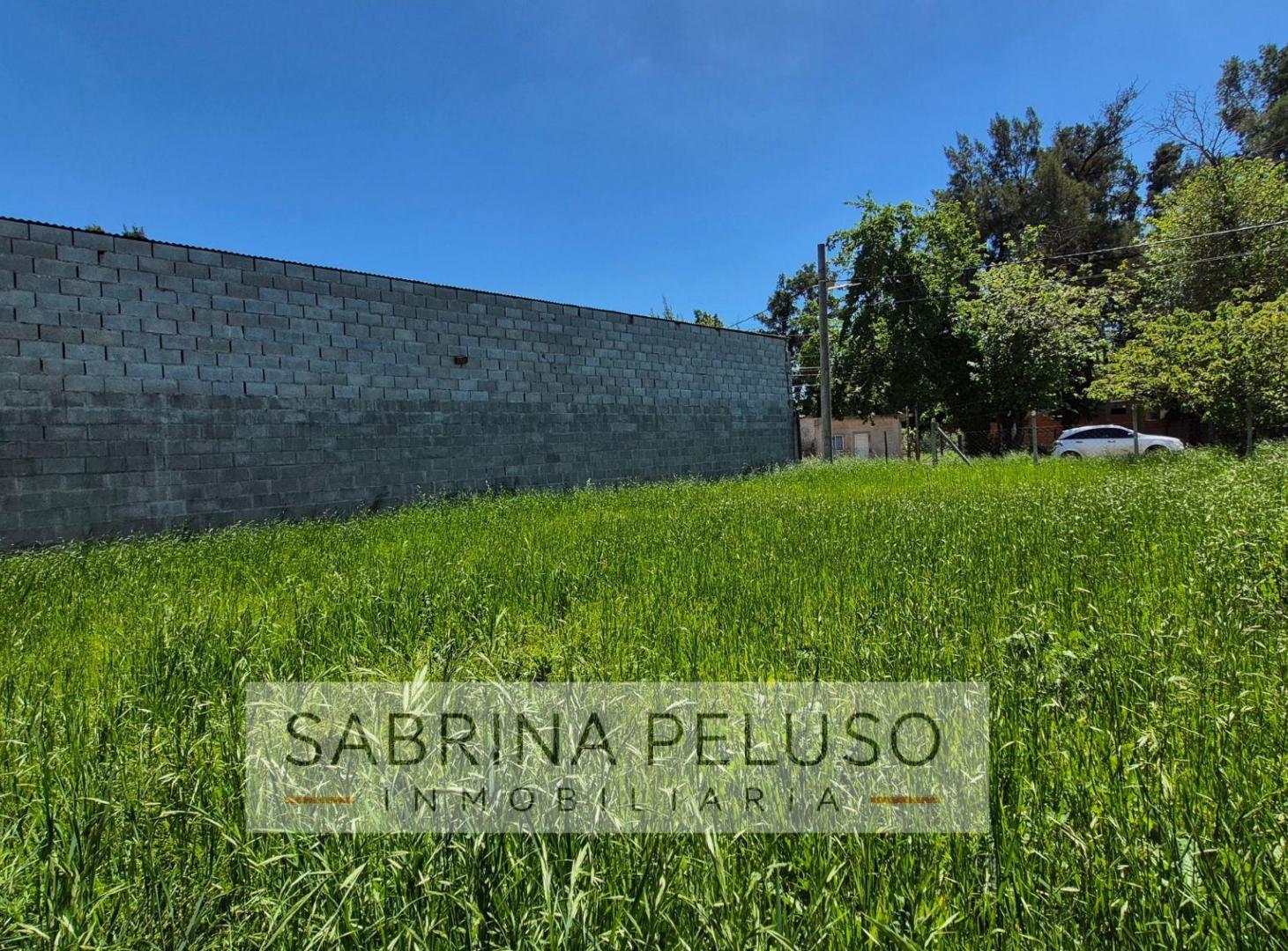 Foto de Terreno en venta, imagen 3