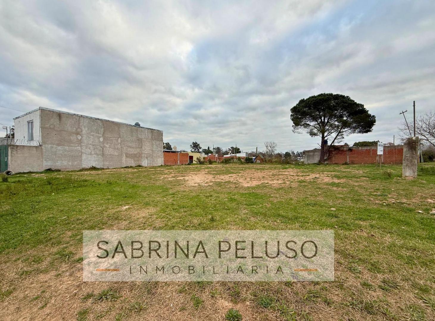 Foto de Terreno en General Rodriguez, imagen 3