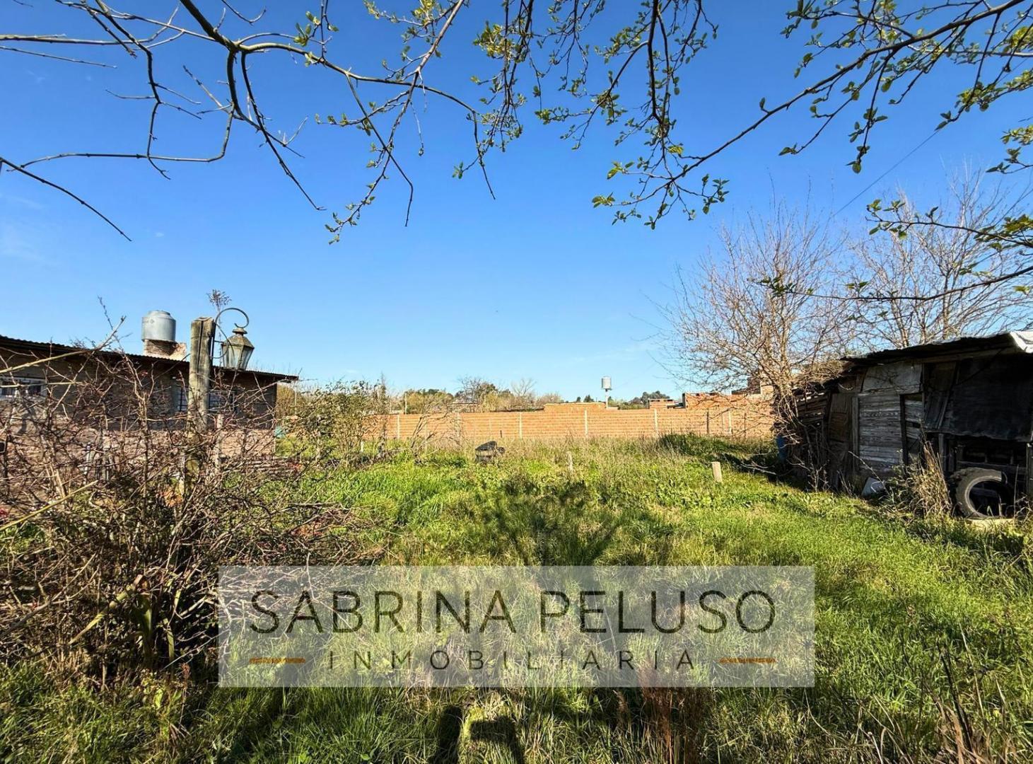 Foto de Terreno en General Rodriguez, imagen 4