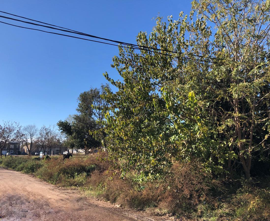 Terreno - San Antonio de Areco 4