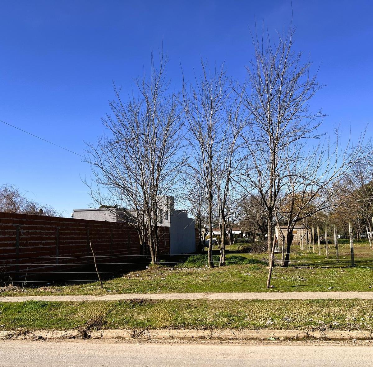 Terreno en Venta en San Antonio de Areco 4
