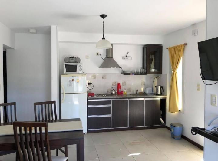 Foto de DEPARTAMENTO CON TERRAZA Y JACUZZI PRIVADO, imagen 2