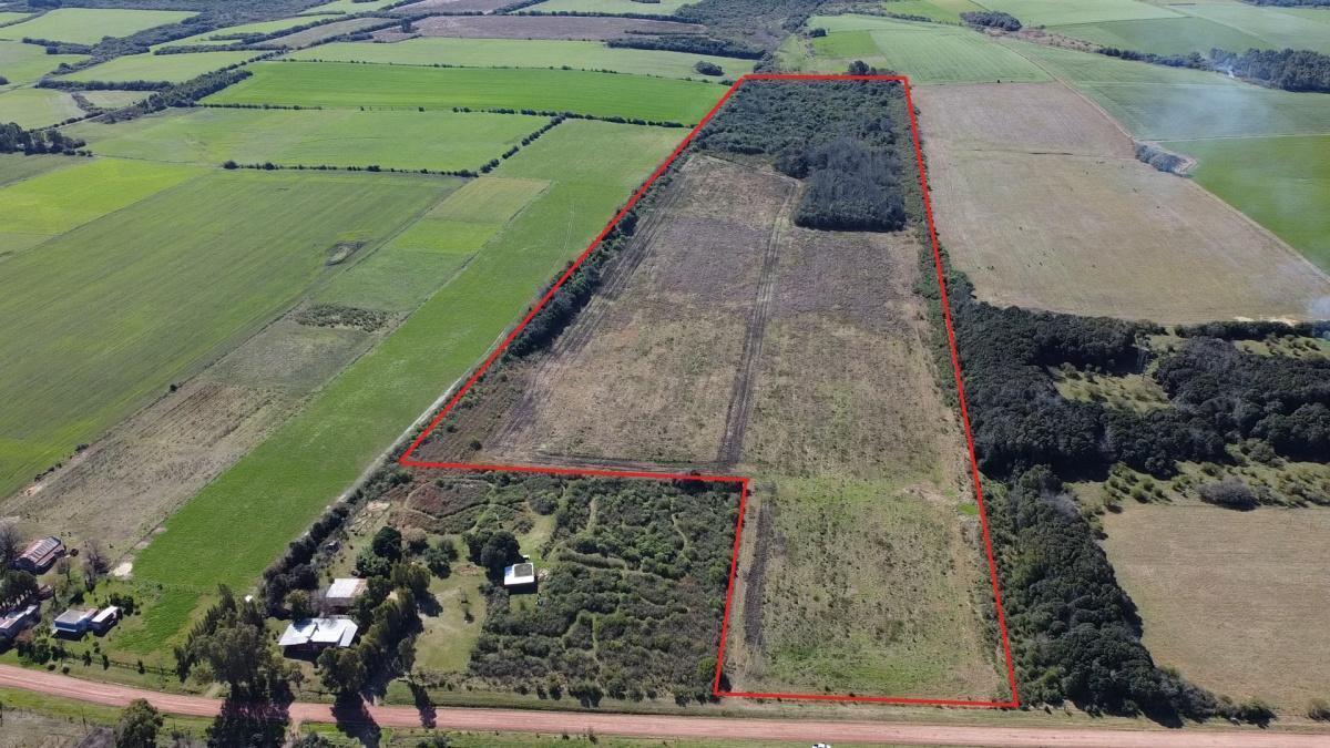 Foto de Venta - Campo - Chacra - Carmelo - Colonia Arrué, imagen 3