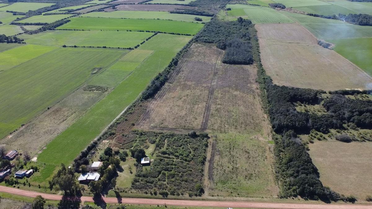 Foto de Venta - Campo - Chacra - Carmelo - Colonia Arrué, imagen 2